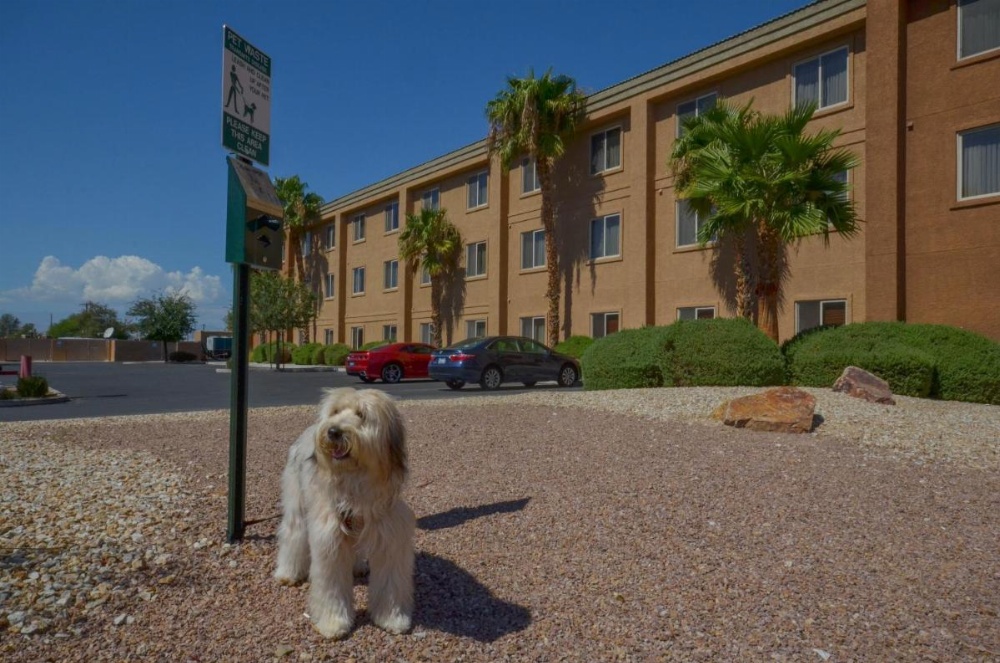 Holiday Inn Express Las Vegas-Nellis Image 17