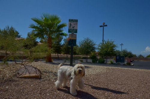 Holiday Inn Express Las Vegas-Nellis image 25